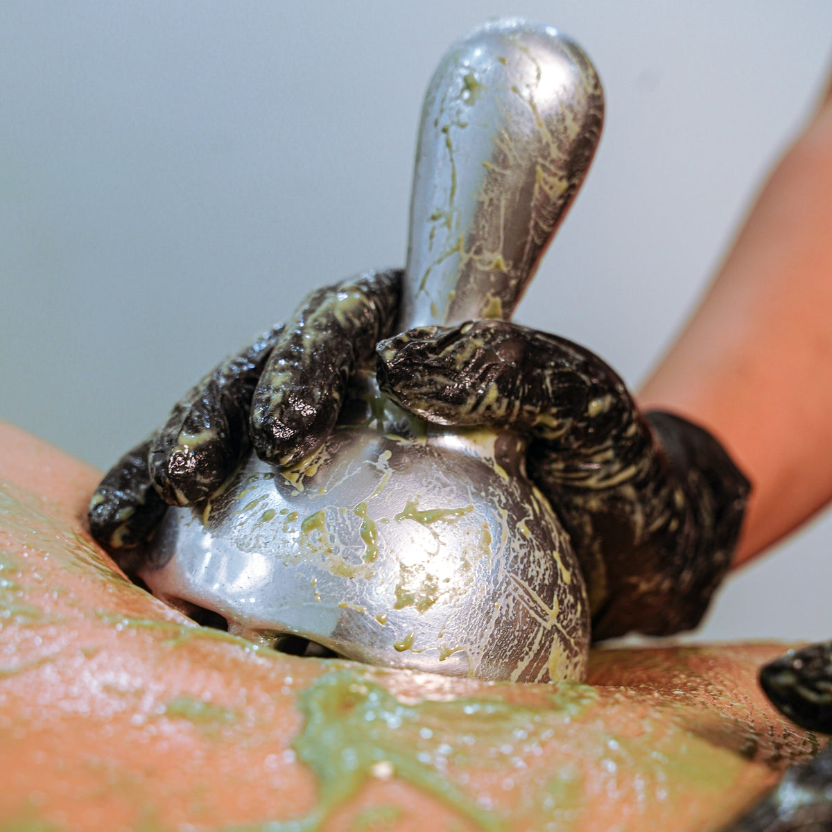 Formation en ligne sur la métalthérapie